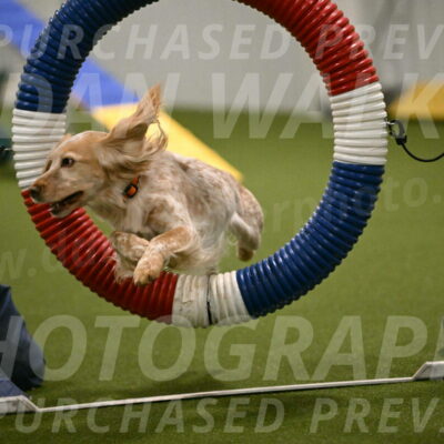 Swing-Lisa-Lombard-01366