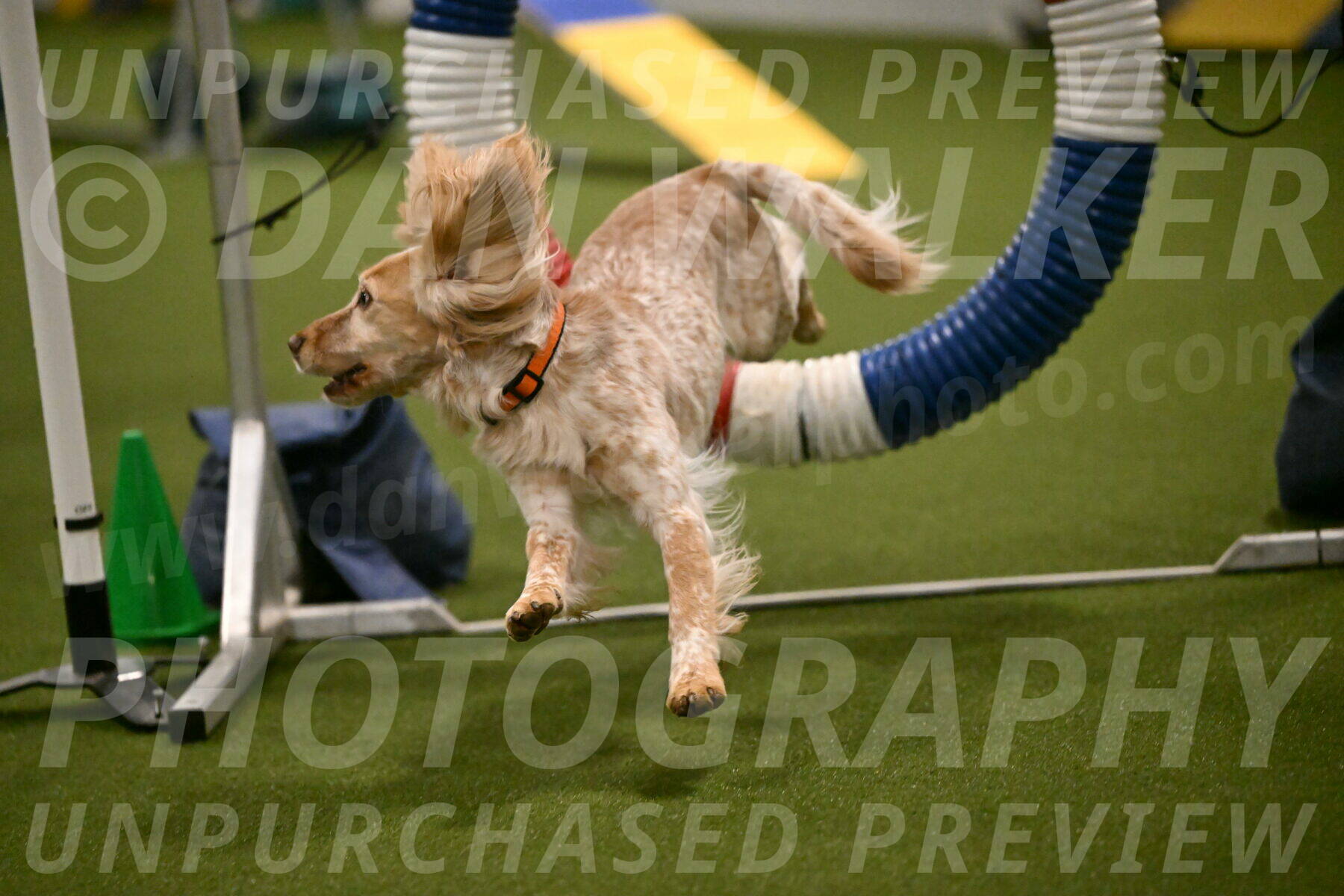 Swing-Lisa-Lombard-01368