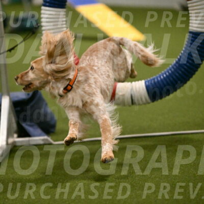 Swing-Lisa-Lombard-01368