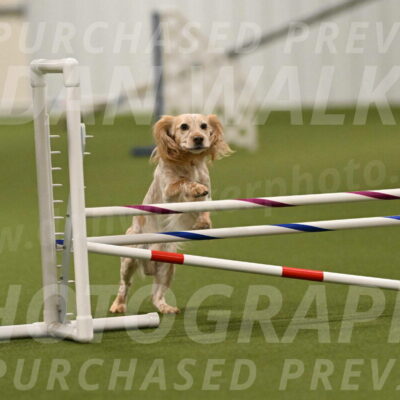 Swing-Lisa-Lombard-01383