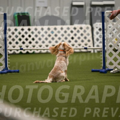 Swing-Lisa-Lombard-01394