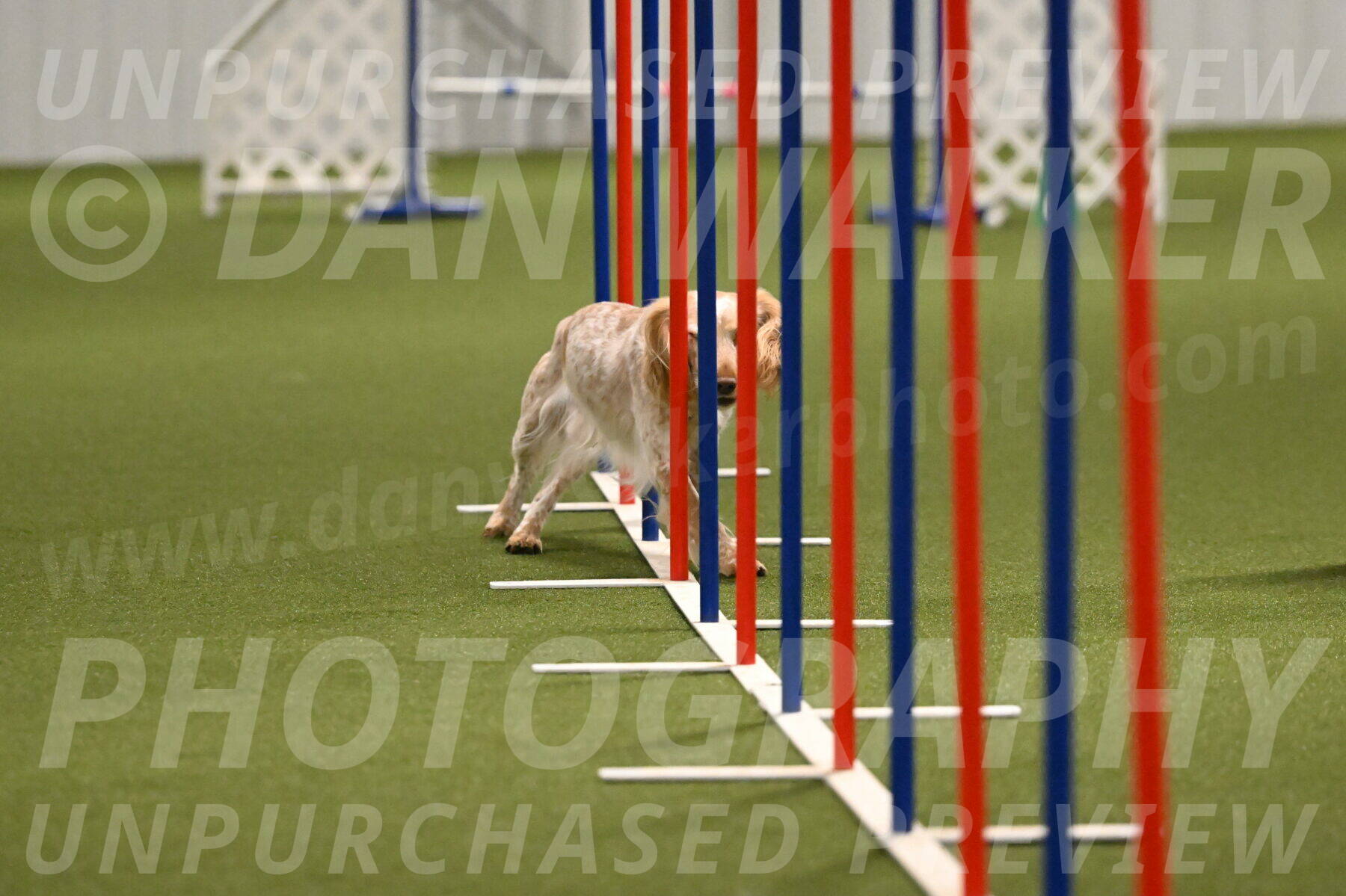 Swing-Lisa-Lombard-01399