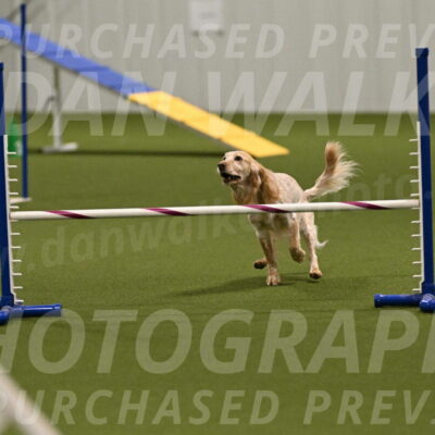 Swing-Lisa-Lombard-01411