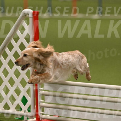 Swing-Lisa-Lombard-01415