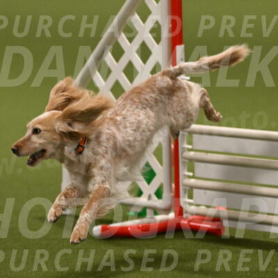 Swing-Lisa-Lombard-01416