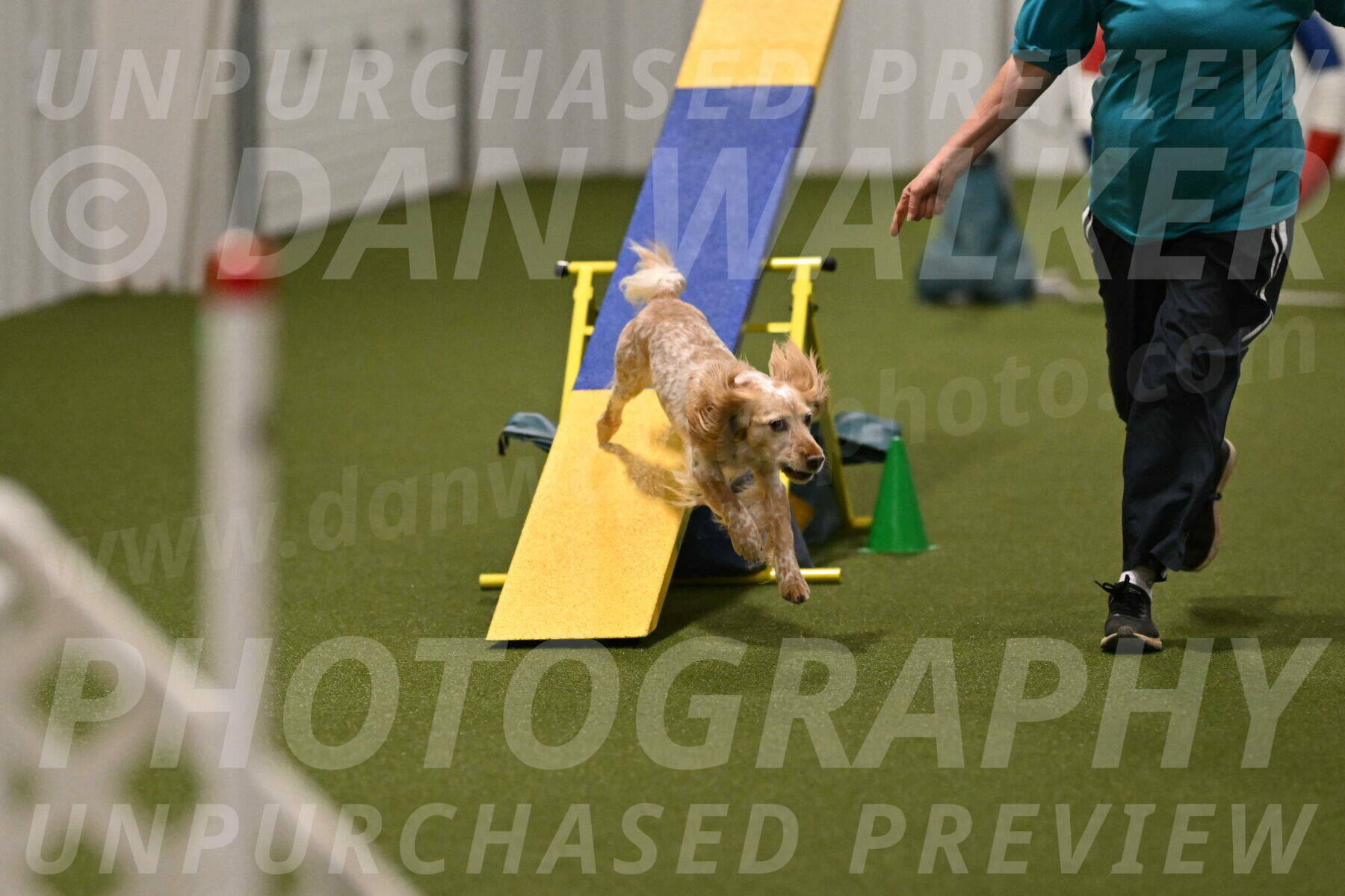 Swing-Lisa-Lombard-01419