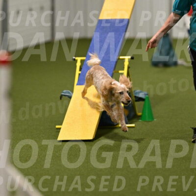 Swing-Lisa-Lombard-01419