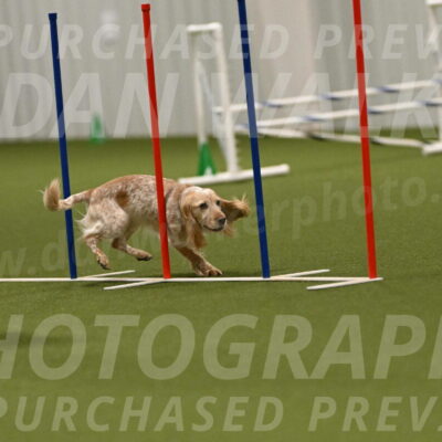 Swing-Lisa-Lombard-01425