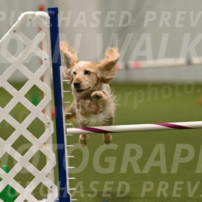 Swing-Lisa-Lombard-01429
