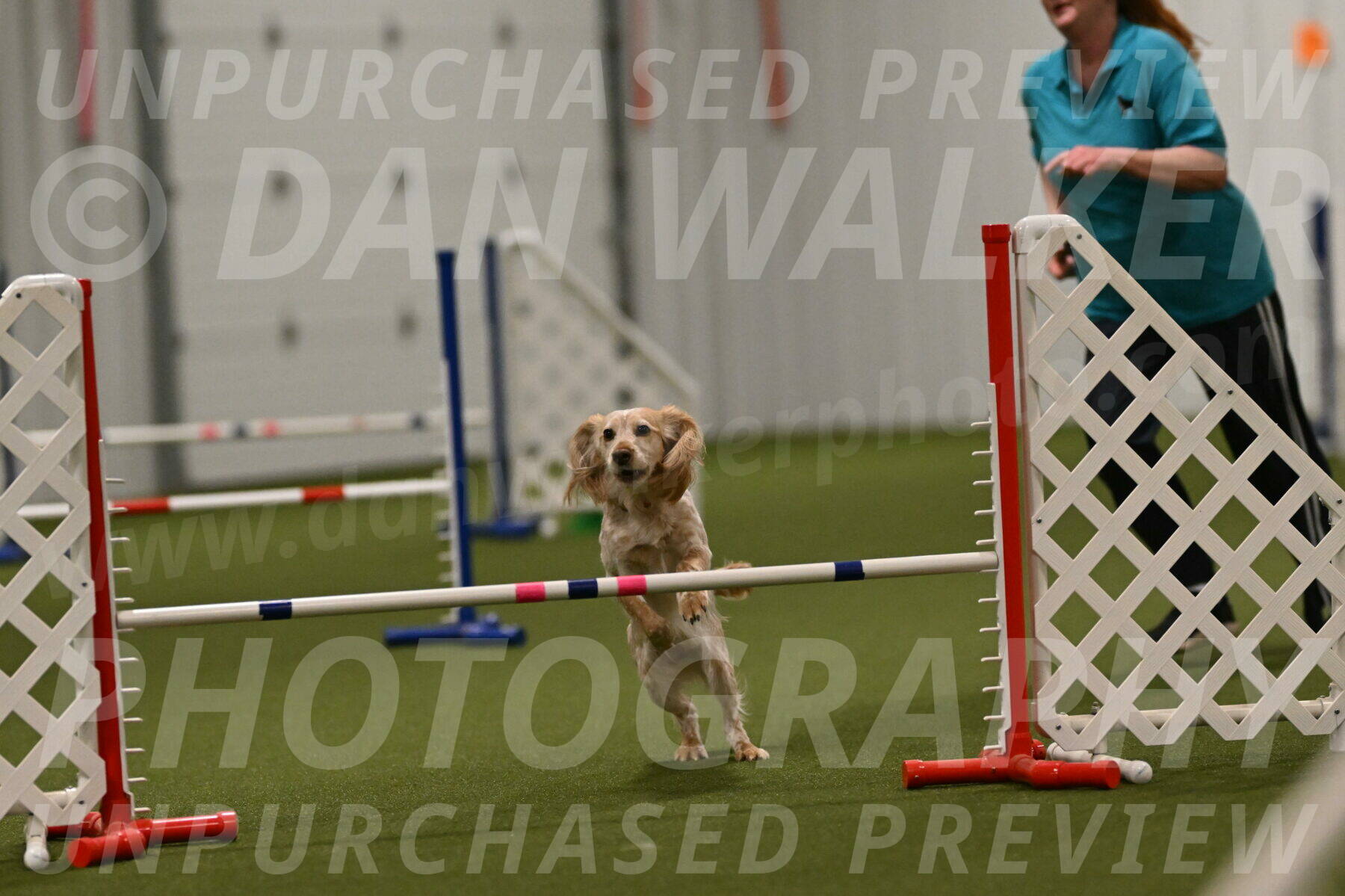 Swing-Lisa-Lombard-01430