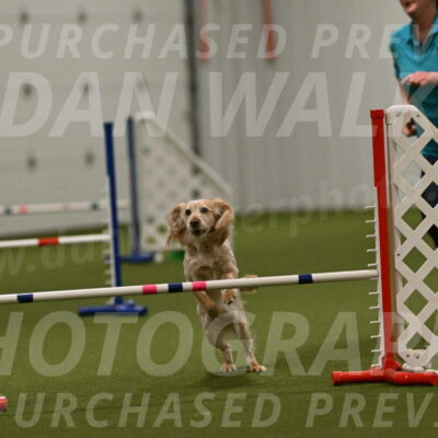 Swing-Lisa-Lombard-01430