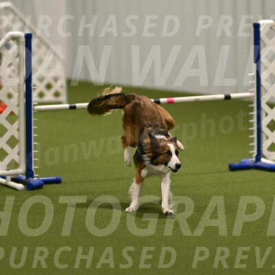 Taco-Nicole-James-03905