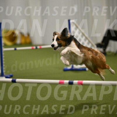 Taco-Nicole-James-03951
