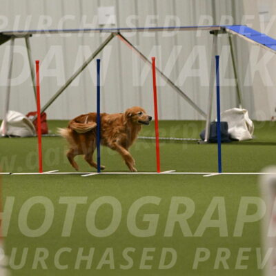Tango-Kathy-Gardner-06413