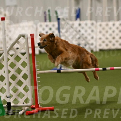 Tango-Kathy-Gardner-06417