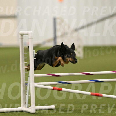 Tavi-Patricia-French-01698