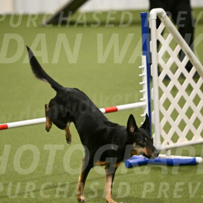Tavi-Patricia-French-01723