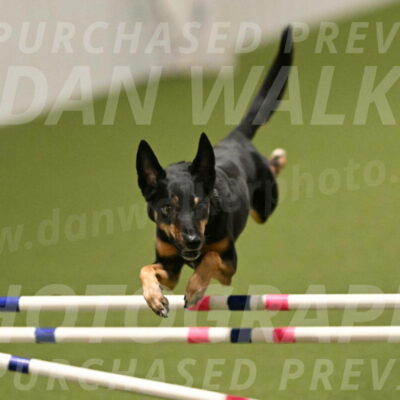 Tavi-Patricia-French-01733