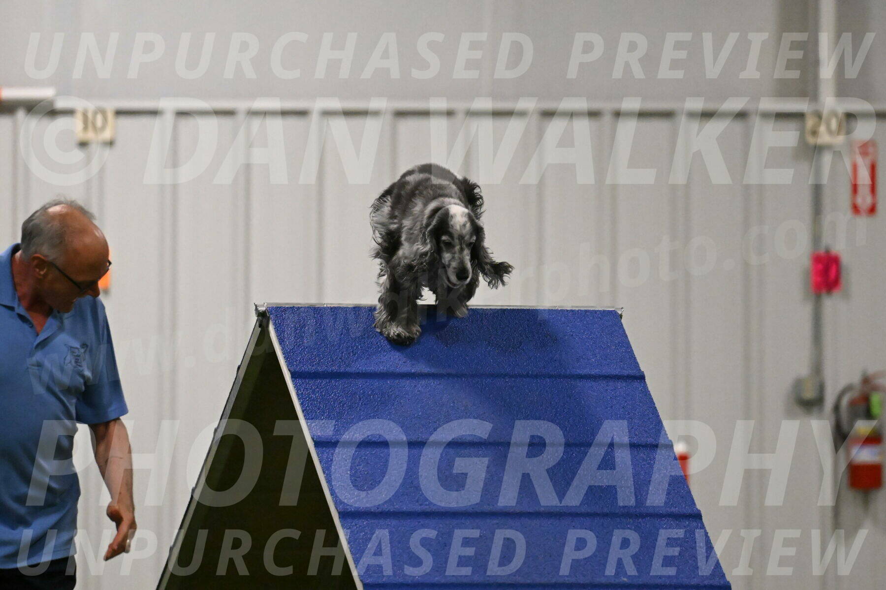 Tempi-David-Thorley-12645