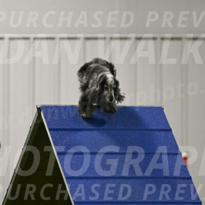 Tempi-David-Thorley-12646