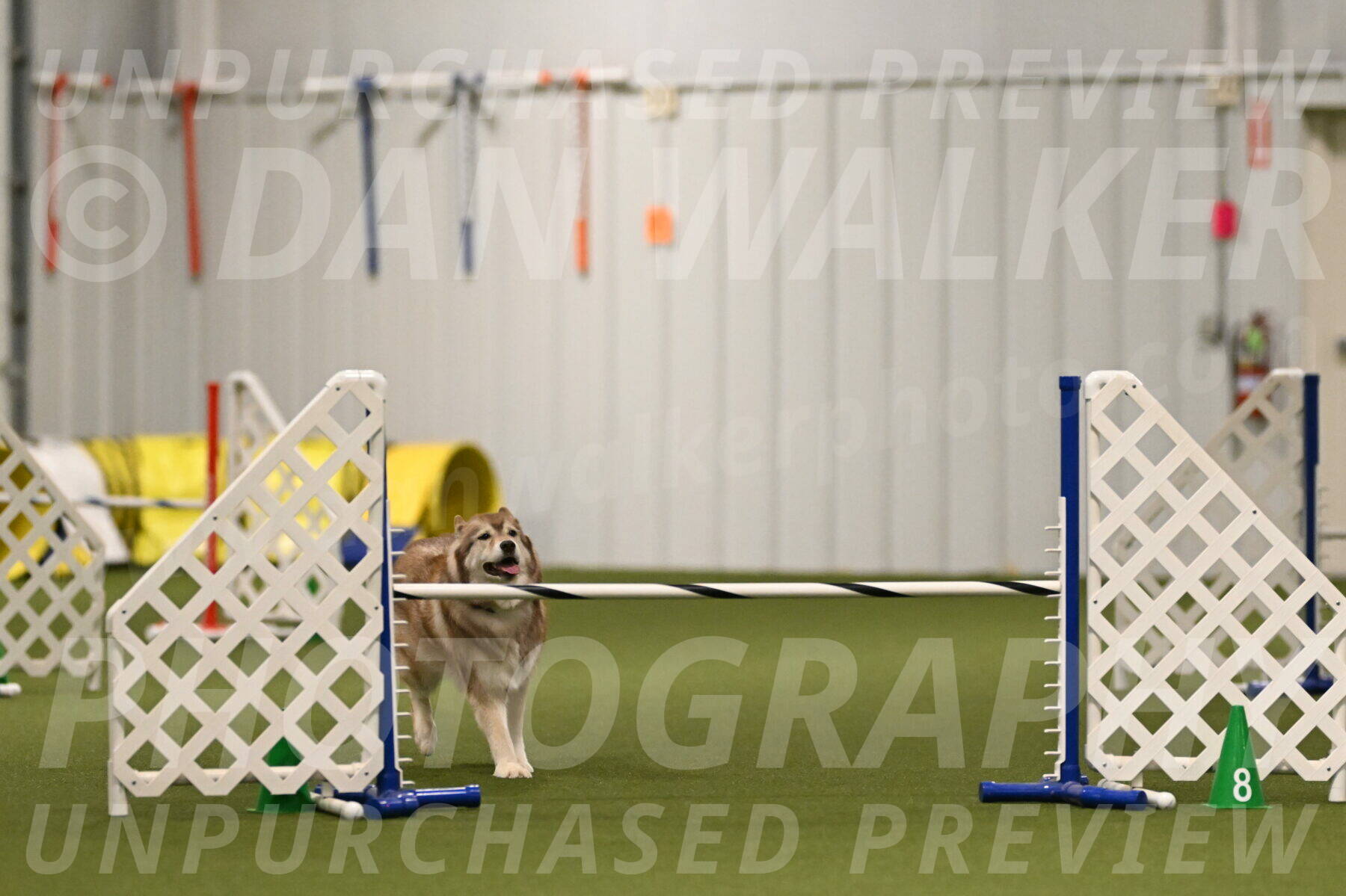 Teva-Jamie-Thompson-04144