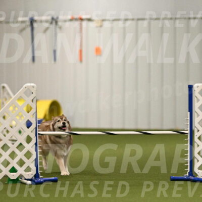 Teva-Jamie-Thompson-04144