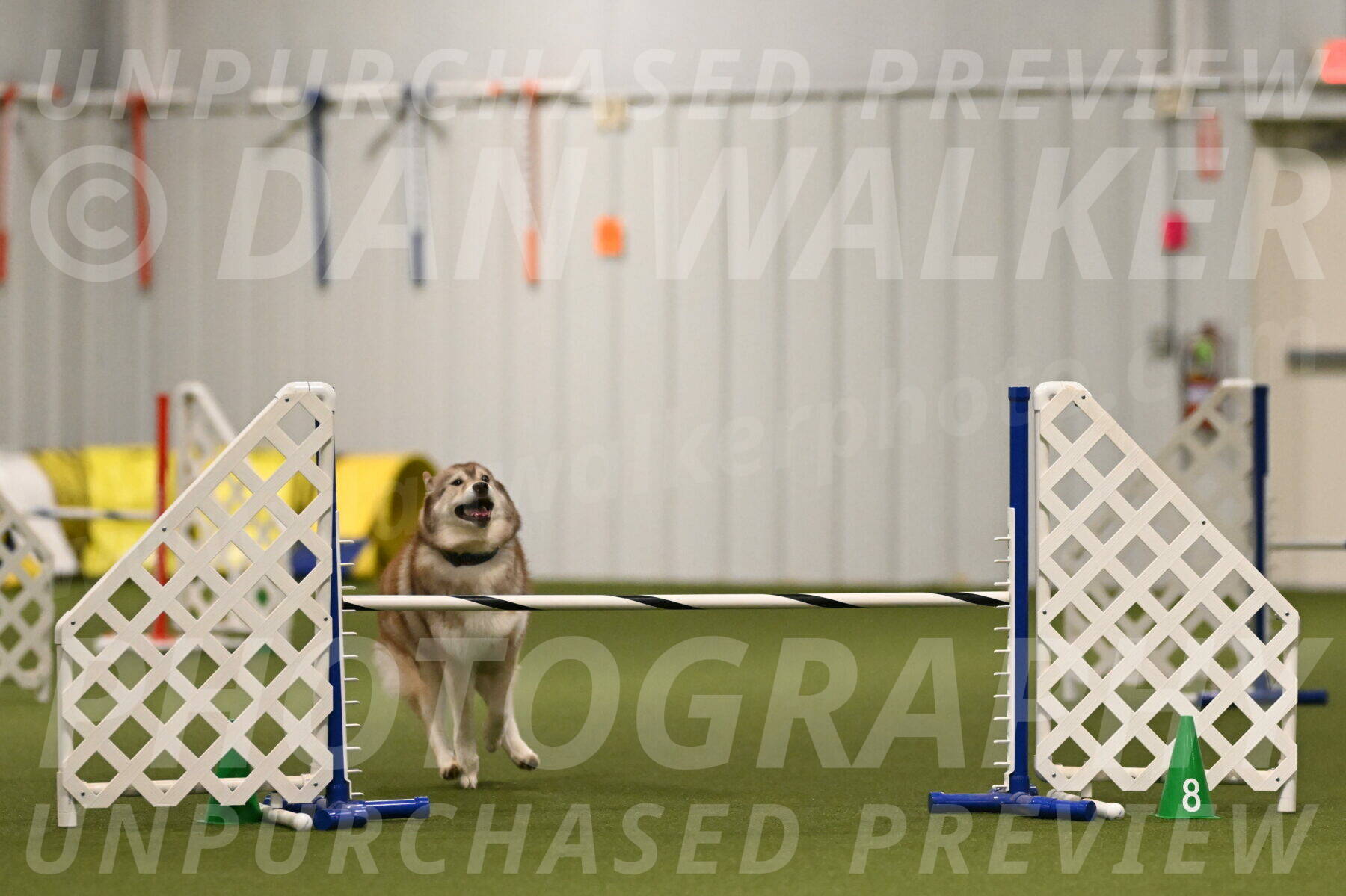 Teva-Jamie-Thompson-04145