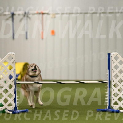 Teva-Jamie-Thompson-04145