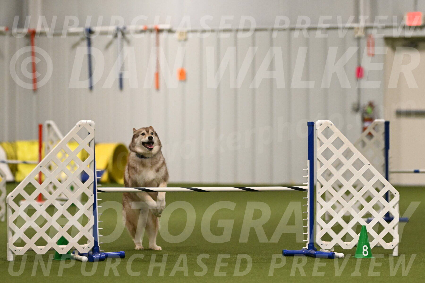 Teva-Jamie-Thompson-04146