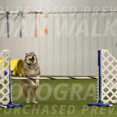 Teva-Jamie-Thompson-04146