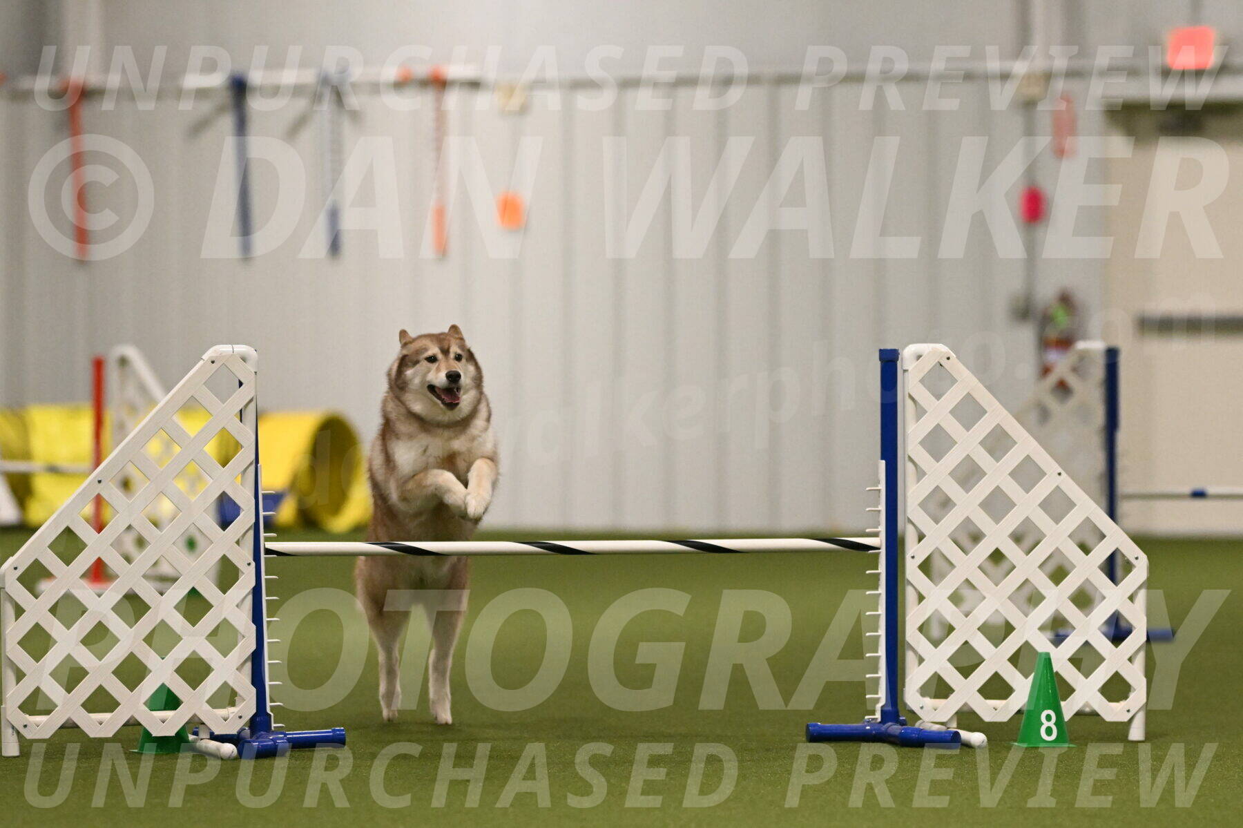 Teva-Jamie-Thompson-04147