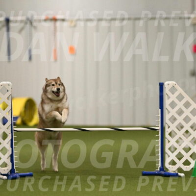 Teva-Jamie-Thompson-04147