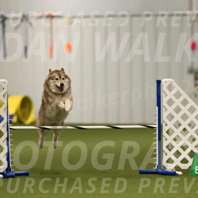 Teva-Jamie-Thompson-04148