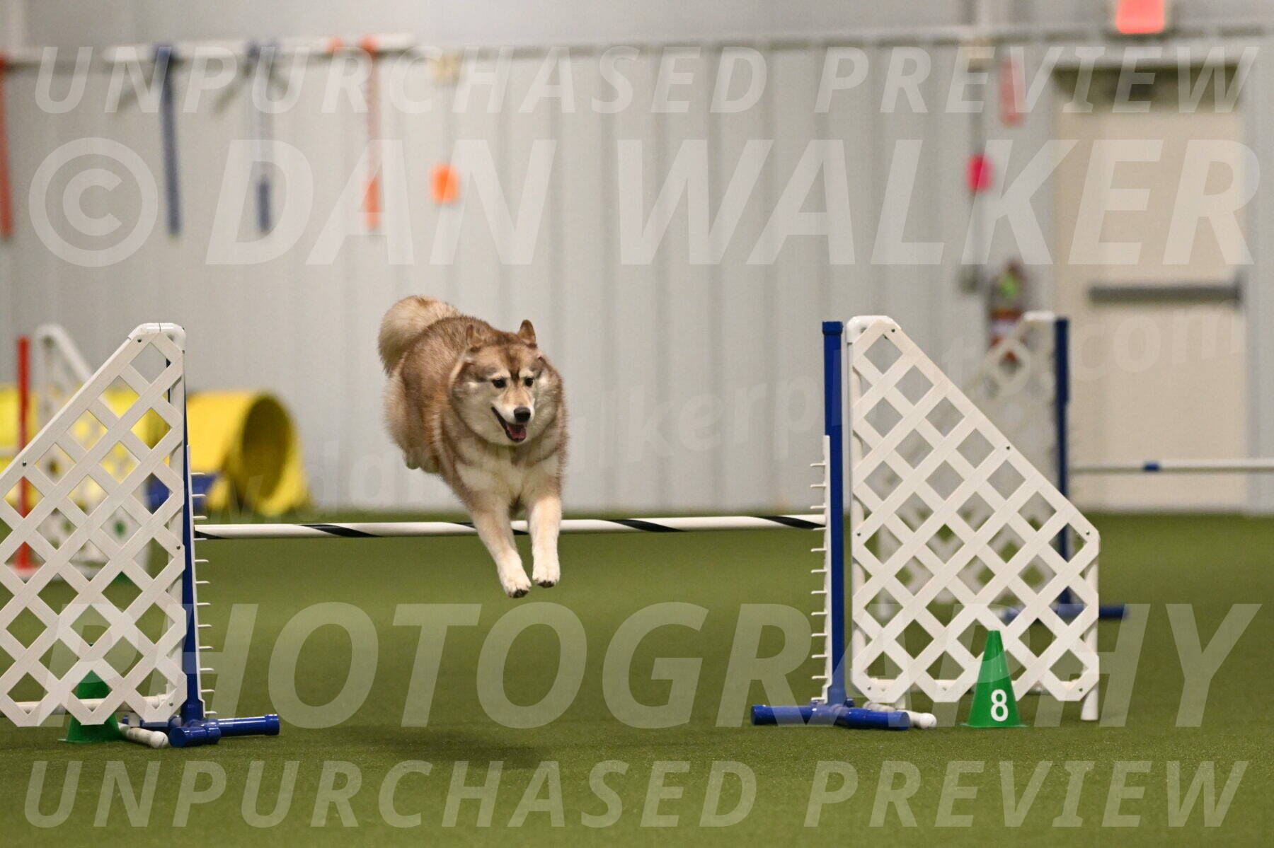 Teva-Jamie-Thompson-04149