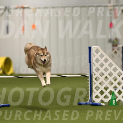 Teva-Jamie-Thompson-04149