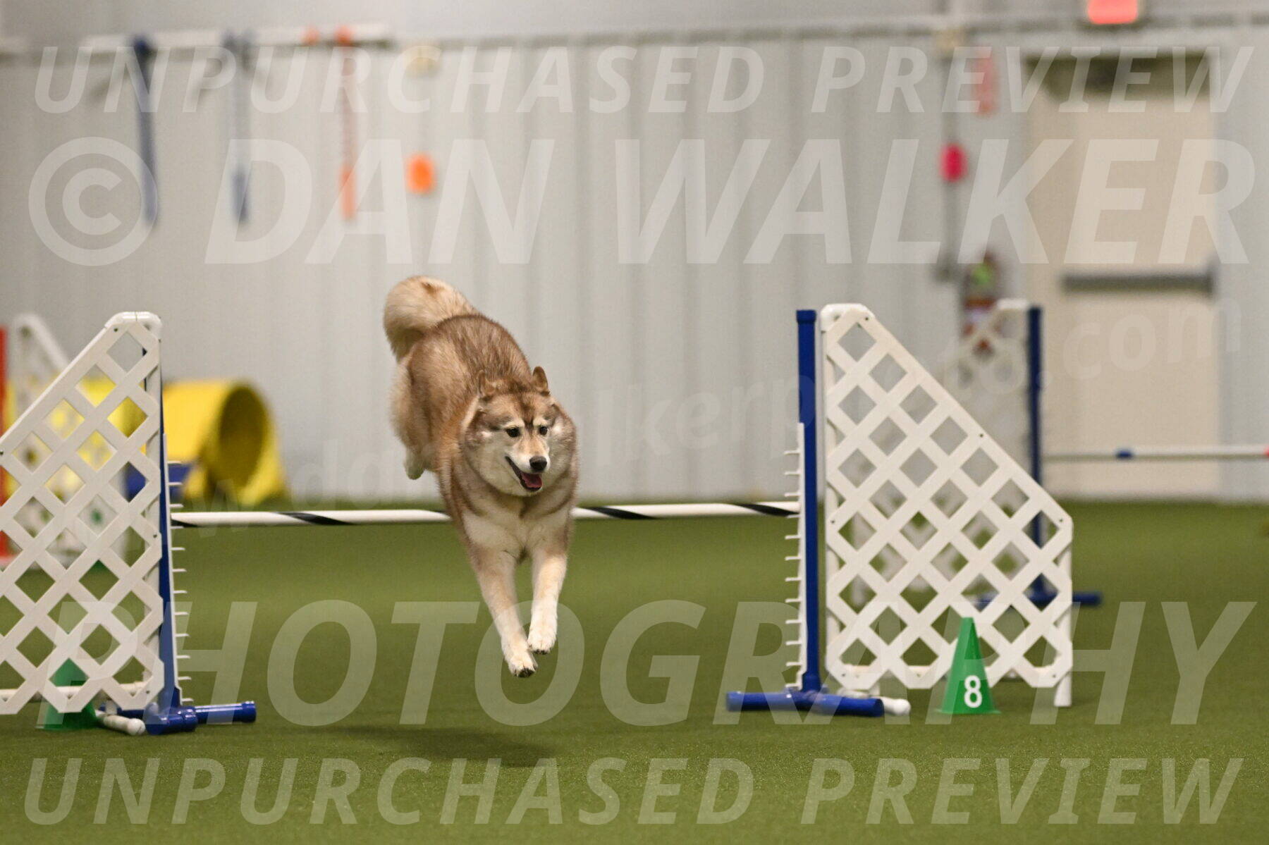 Teva-Jamie-Thompson-04150