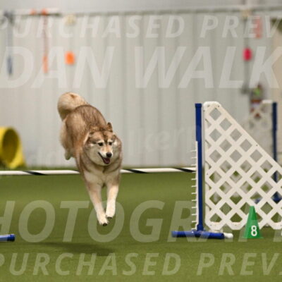 Teva-Jamie-Thompson-04150