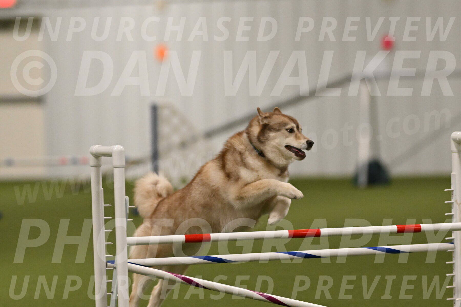 Teva-Jamie-Thompson-04151