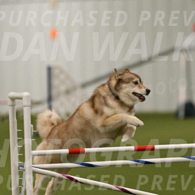 Teva-Jamie-Thompson-04151