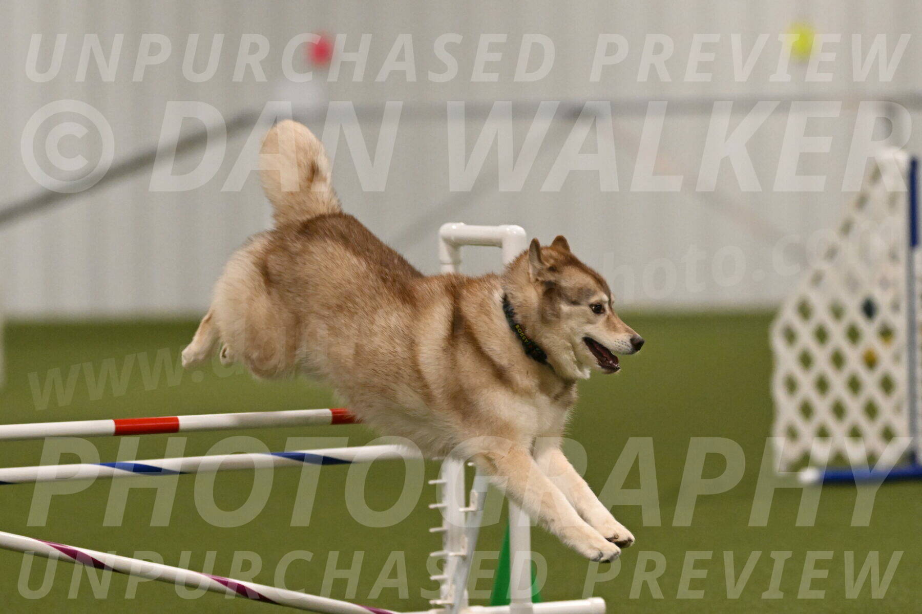 Teva-Jamie-Thompson-04152