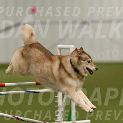 Teva-Jamie-Thompson-04152