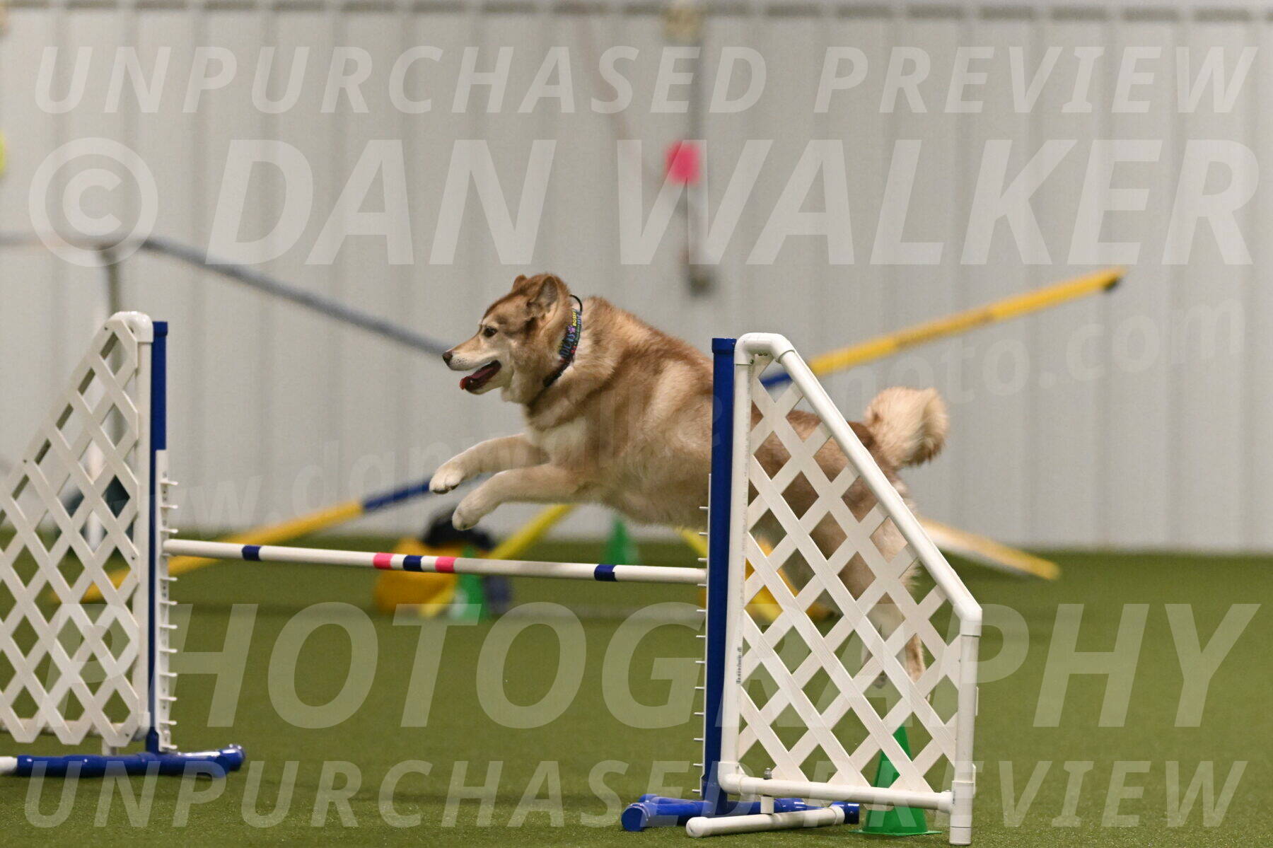 Teva-Jamie-Thompson-04153