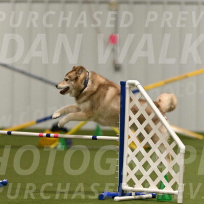 Teva-Jamie-Thompson-04153