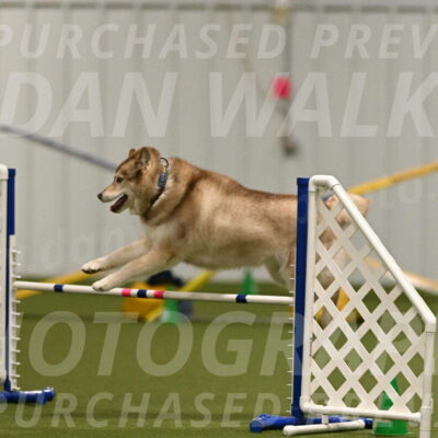 Teva-Jamie-Thompson-04154