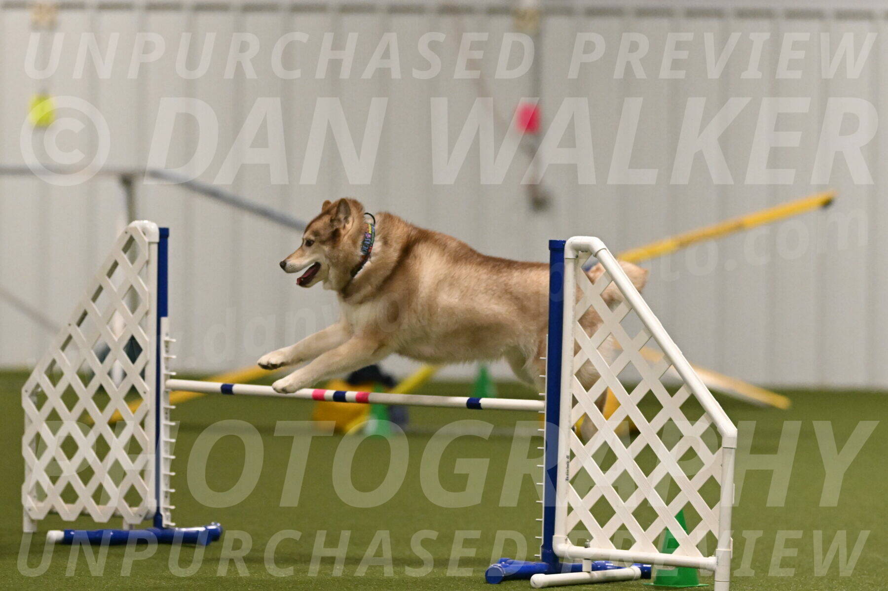 Teva-Jamie-Thompson-04154