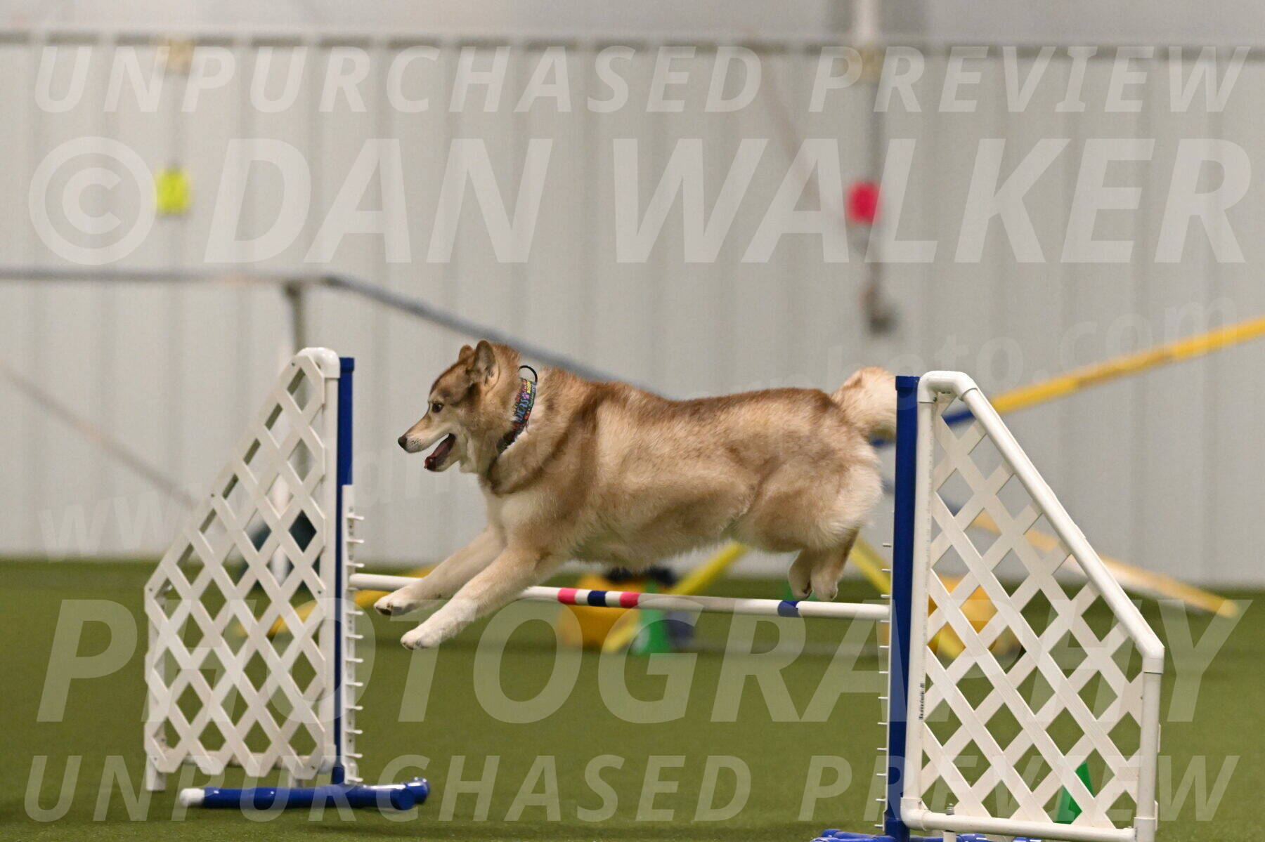 Teva-Jamie-Thompson-04155