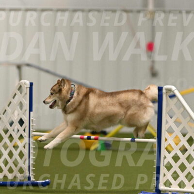 Teva-Jamie-Thompson-04155