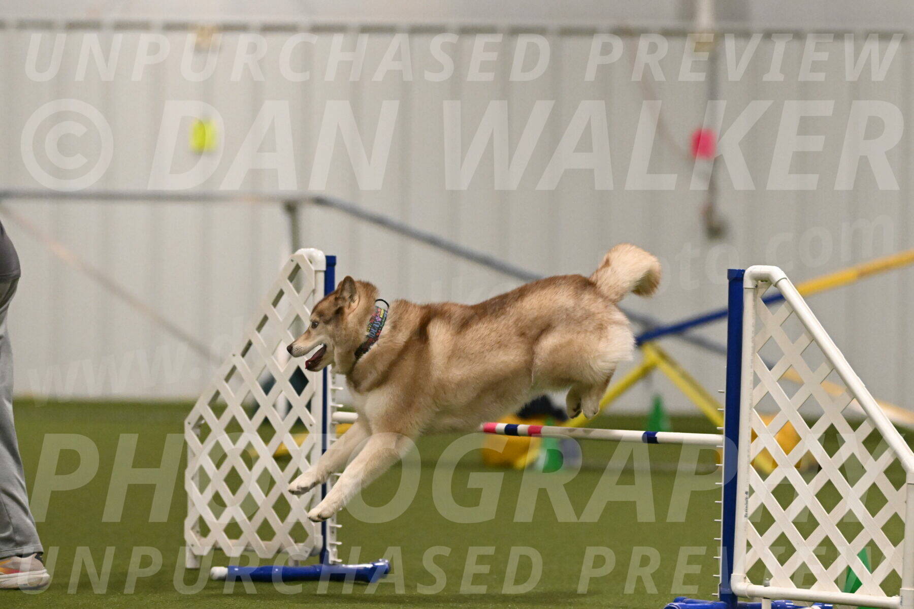 Teva-Jamie-Thompson-04156