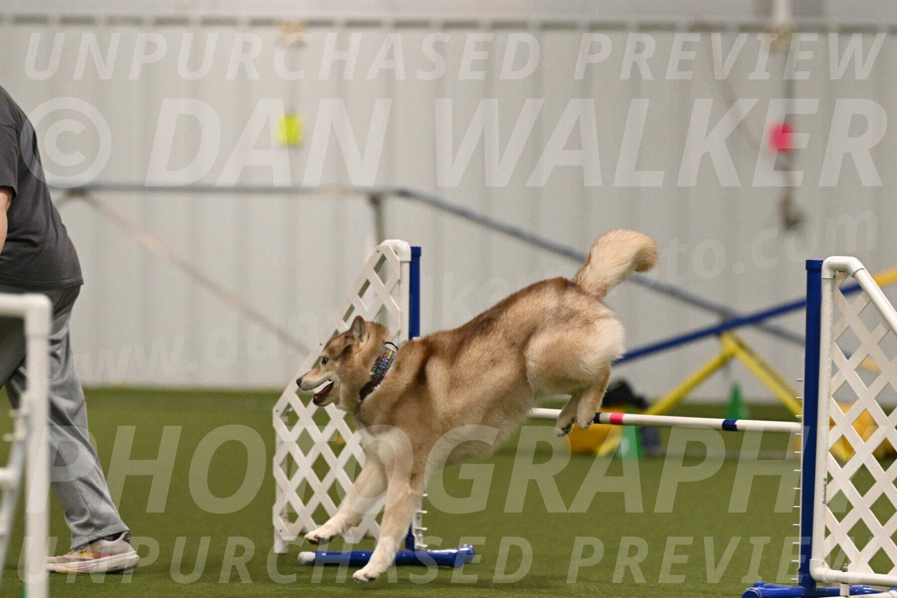 Teva-Jamie-Thompson-04157