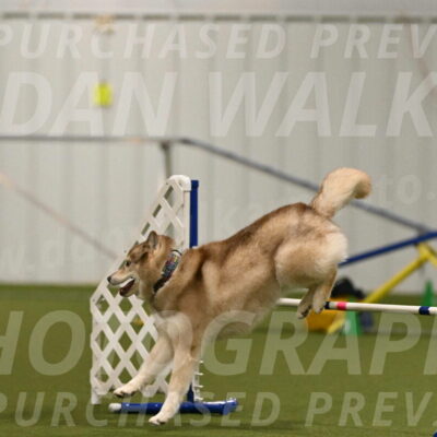 Teva-Jamie-Thompson-04157